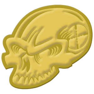 07-0045000001-challenge-coins-skull-back