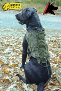 TRACKING AND FIELD K9 HARNESS